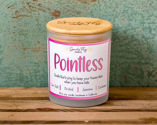 Pointless: Smells like trying to keep your house clean when you have kids!  Wax Melts